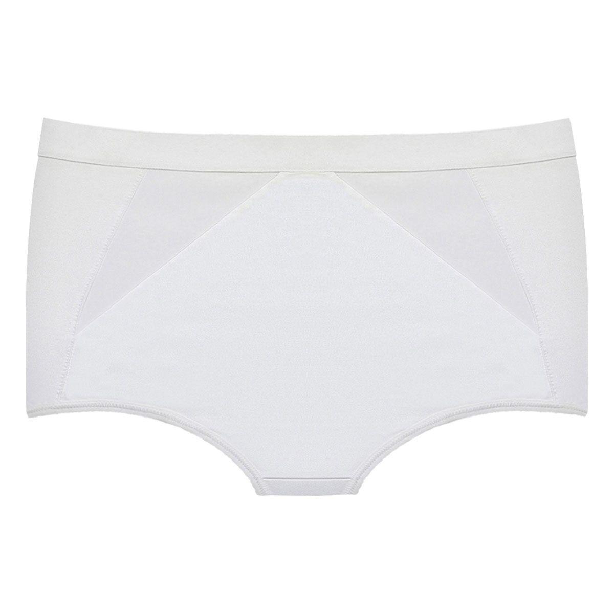 playtex control briefs